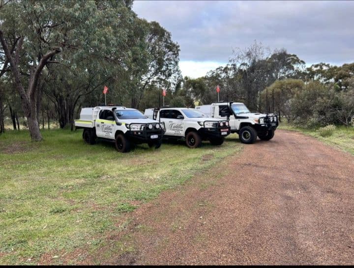 Three signwritten Cadillac Contracting and Civil utes staged on site