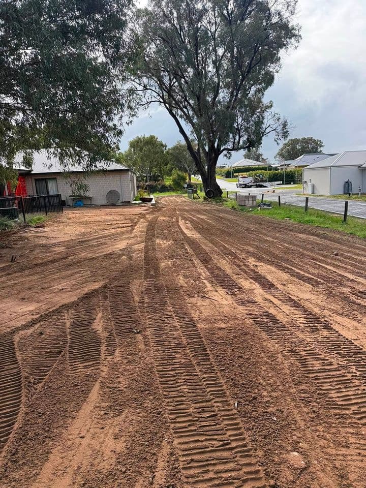 Backyard cleared and cut to grade under a large gum tree