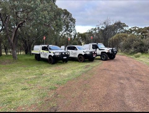 Signwritten site utes staged under gum trees